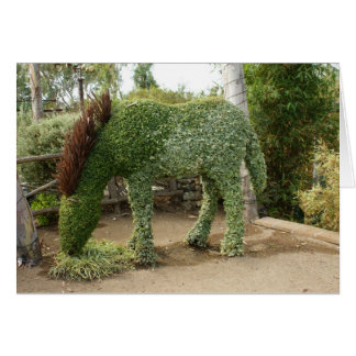 Carte topiaire de Greeeting de cheval