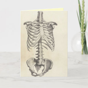 Carte Torse de squelette