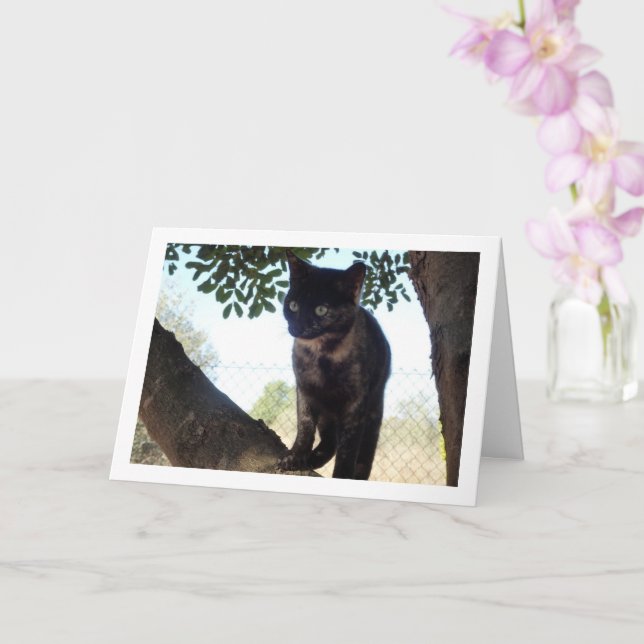 Carte Tortoiseshell Kitten in Tree (Orchidée)