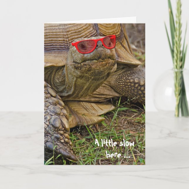 Carte Tortue Anniversaire en lunettes de soleil (Devant)