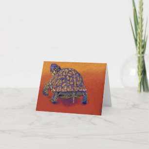 Carte Tortue de boîte, tortue