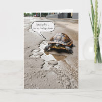 Tortue de retraite heureuse