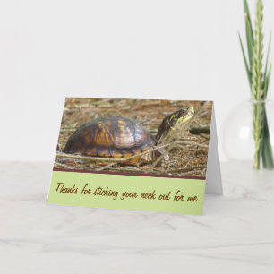 Carte Tortue - Sortie du cou