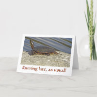 TORTUE SUR L'ANNIVERSAIRE CARD/CUSTOMIZABLE DE
