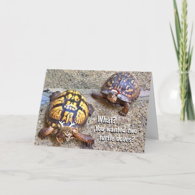 Carte Tortues de Noël (Devant)