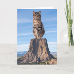 Carte Tour de l'Enfer Tabby Drôle