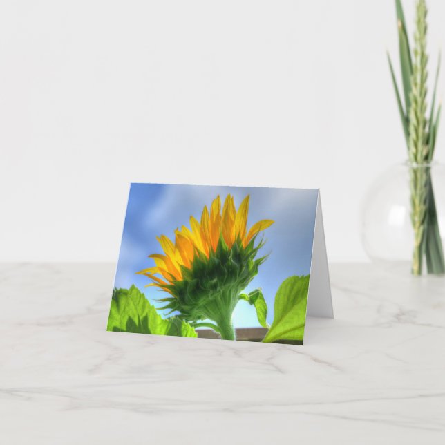 Carte Tournesol (Devant)