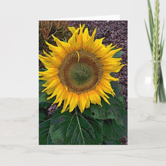 Carte Tournesol (Devant)