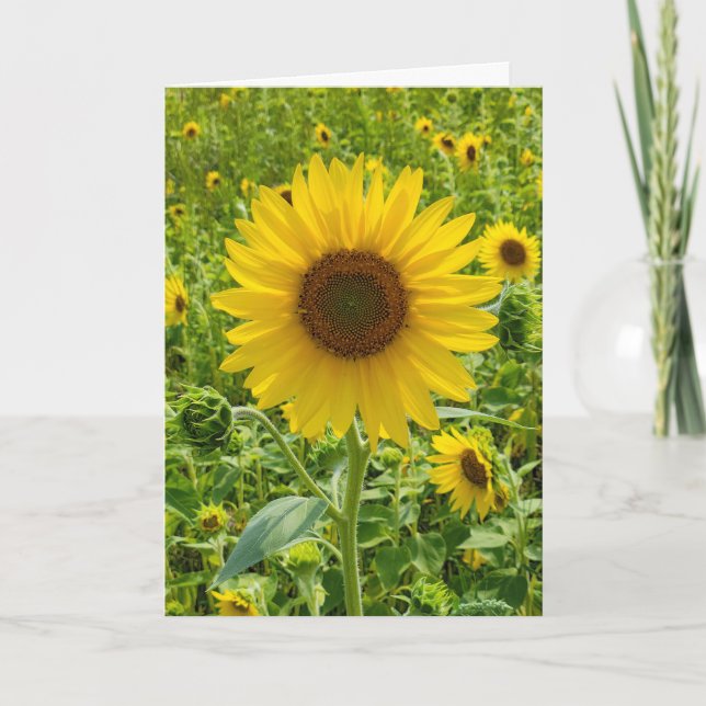 Carte Tournesol d'anniversaire (Devant)