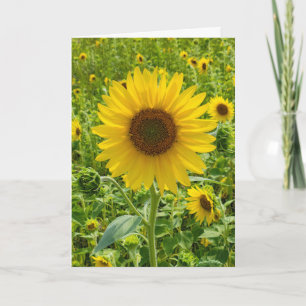 Carte Tournesol d'anniversaire