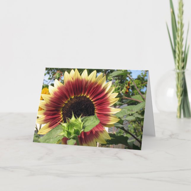 Carte Tournesol de clinquant (Devant)