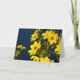 Carte "Tournesol des marais 1."Carte de voeux