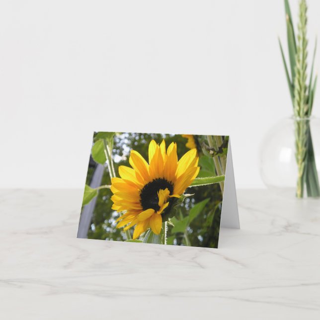 Carte Tournesol @ le jardin des enfants (Devant)