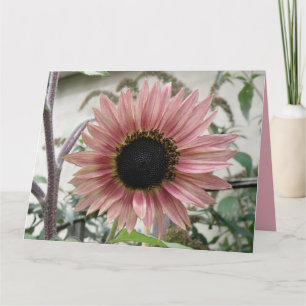 Carte Tournesol rose pâle Se Bien Bientôt Grande Personn