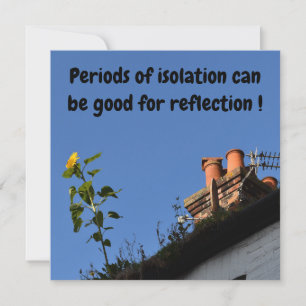 Carte Tournesol sur le toit.