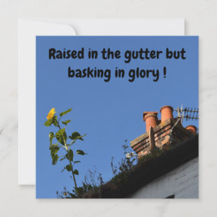 Carte Tournesol sur le toit.