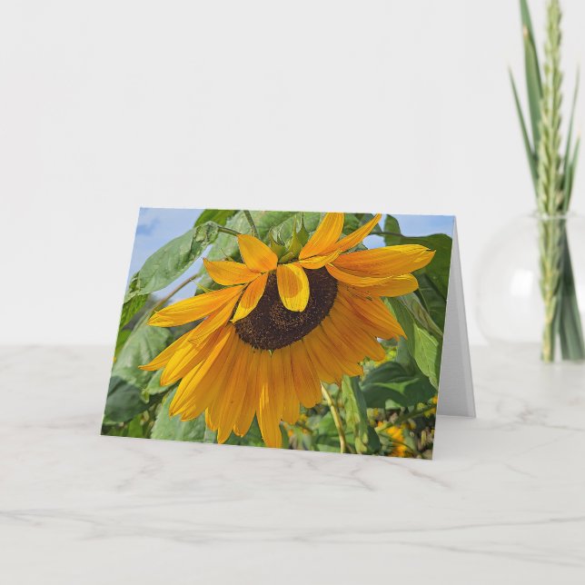 Carte Tournesol triste (Devant)