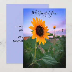 Carte Tournesol Vous Manque Au Crépuscule Photo Personna