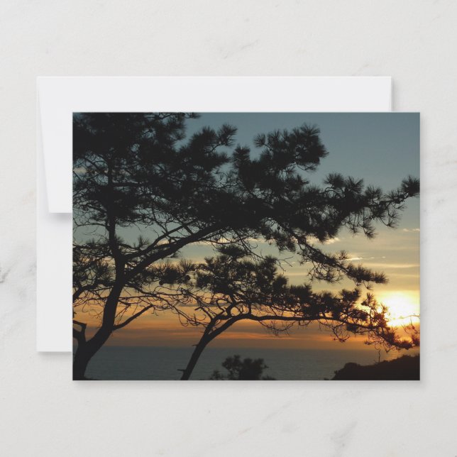 Carte Tourrey Pine Sunset I California Paysage (Devant)
