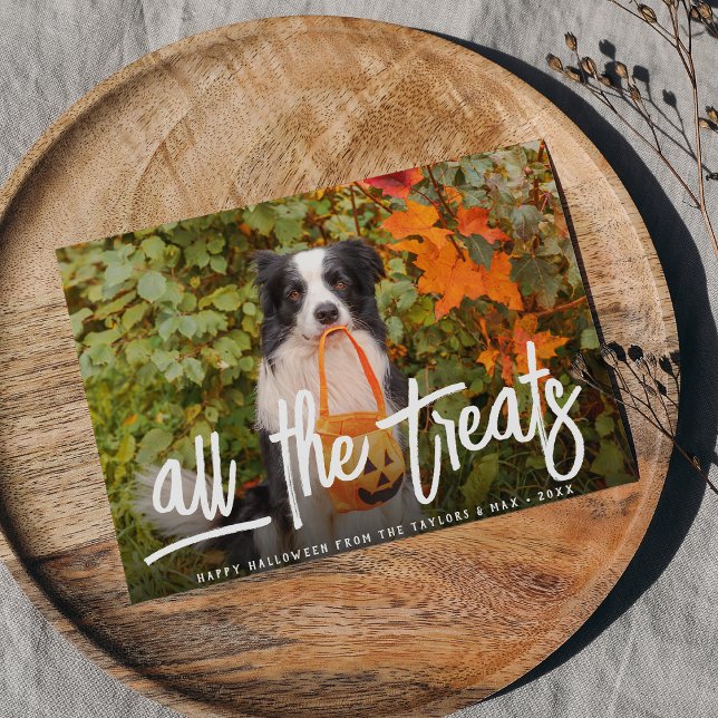 Carte Tous les soins | Halloween Photo pour animaux de c (Créateur téléchargé)