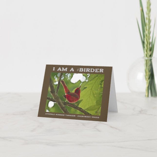Carte Tout le monde Vogue Juvenile Summer Tanager Birage (Devant)