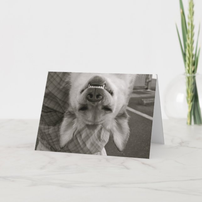 Carte Toute l'occasion (Devant)