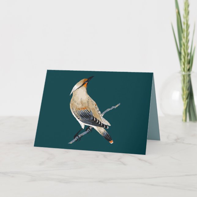 CARTE TOUTE OCCASION WAXWING BLANK (Devant)