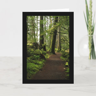 Carte Trail Among Giants