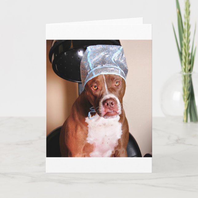 Carte Traitement de beauté (Devant)