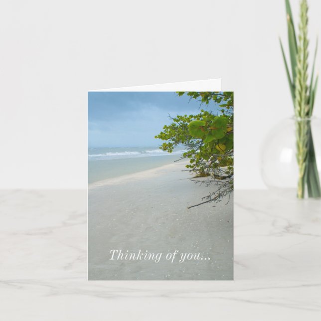 Carte Tranquillité sur l'île de Sanibel (Devant)