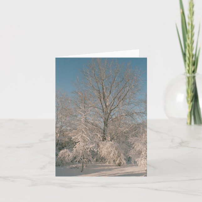 Carte Trees et Snow Notecards (Devant)