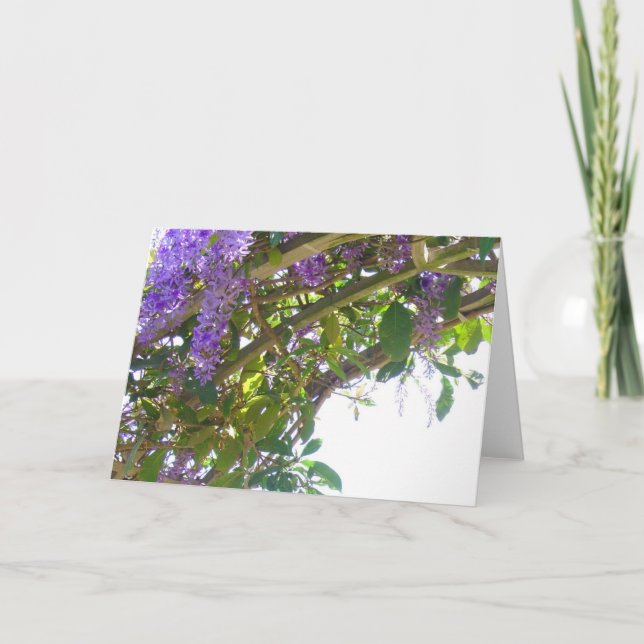 Carte Treillis royal (Devant)