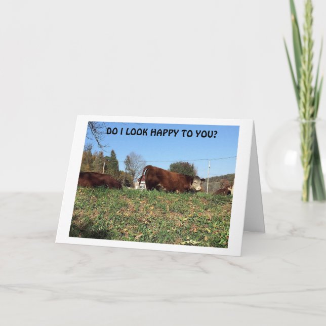 CARTE TRÈS MAD "VACHE" DIT MALHEUREUX PARCE QUE JE "TE M (Devant)