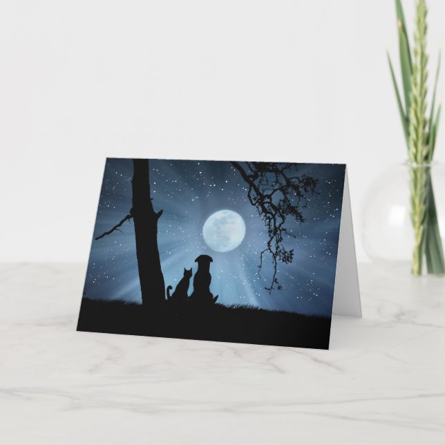 Carte Très mignon chien et chat de la bénédiction du sol (Devant)