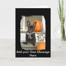 Trick ou Treat Pup
