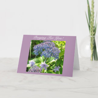 Carte Trinité priant pour vous