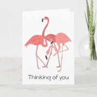 Trio de Flamant rose pensant à vous