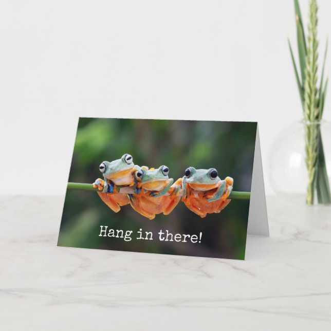 Carte Trio de grenouilles d'arbre - Accrochez-vous à la  (Devant)