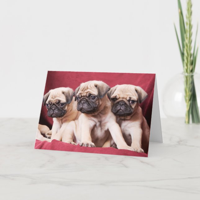 Carte Triplets carlin (Devant)