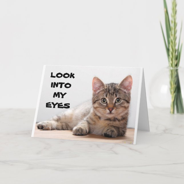 CARTE TRISTE CHAT POUR AVOIR MANQUÉ "VOTRE ANNIVERSAIRE" (Devant)