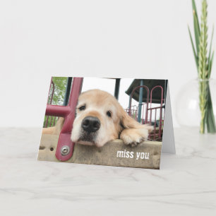 Carte Triste Golden Retriever Dog Miss You