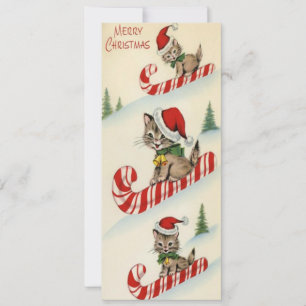Carte Trois chatons adorables vintages sur une canette à