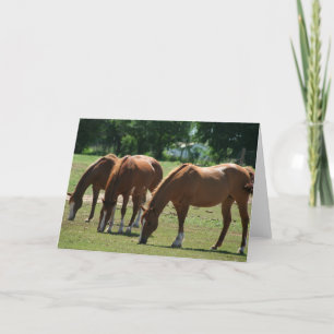 Carte Trois chevaux
