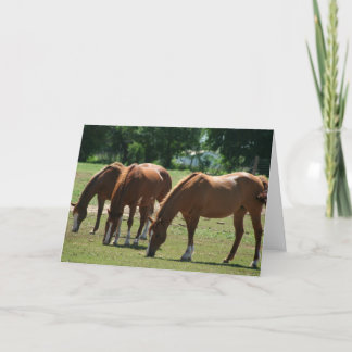 Carte Trois chevaux