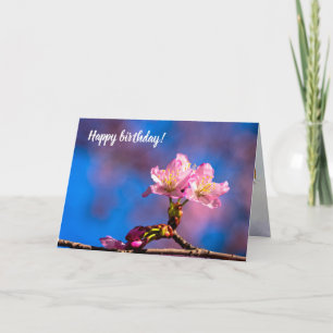 Carte Trois Fleurs De Sakura Au Soleil Le Printemps Enso