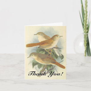 Carte Trois oiseaux sur une branche, "Merci !"