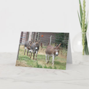 Carte Trois petits ânes.