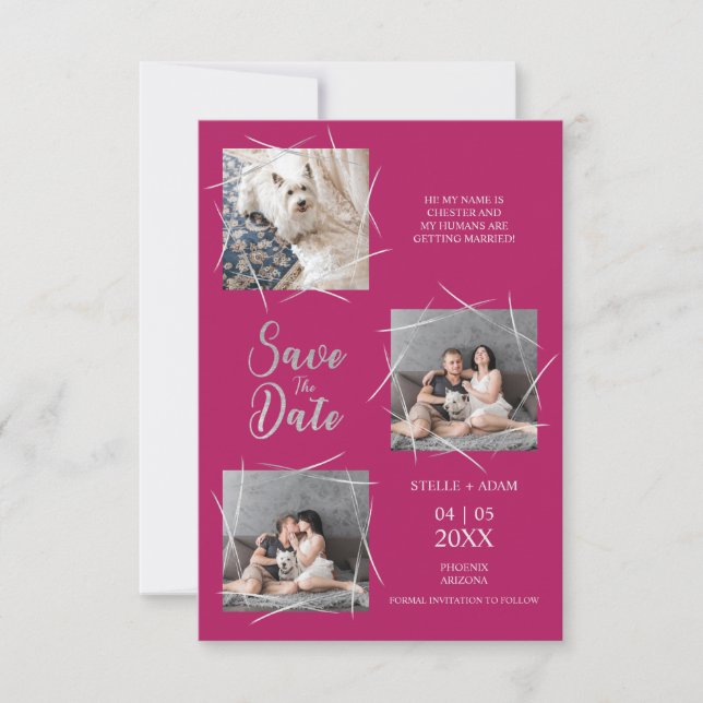 Carte Trois Photos Modernes Animaux de compagnie Engagé  (Devant)