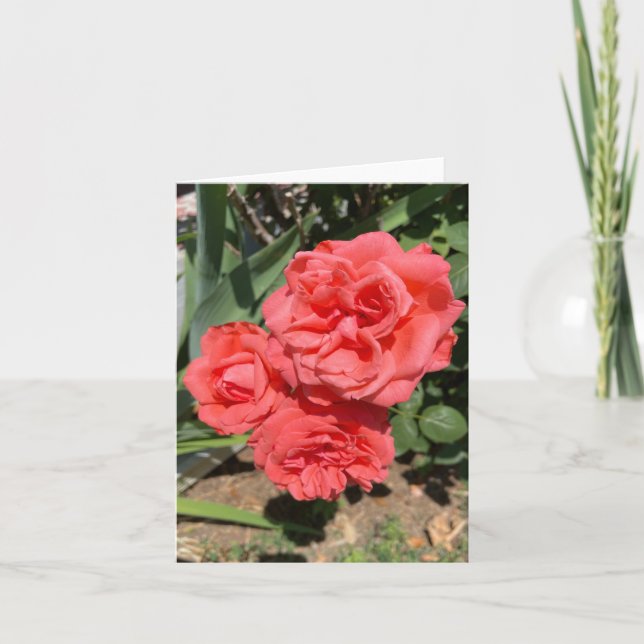 Carte Trois roses roses photo (Devant)