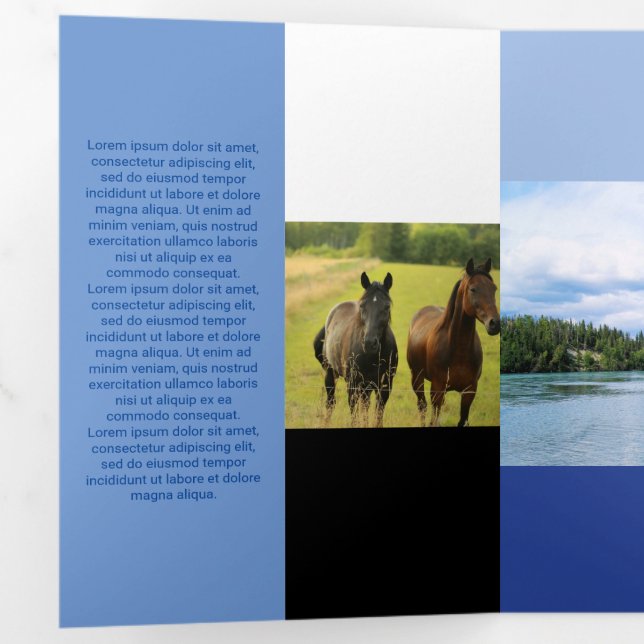 Carte Trois Volets Couleur Bleue fraîchement carrée du code Qr (Intérieur en premier)